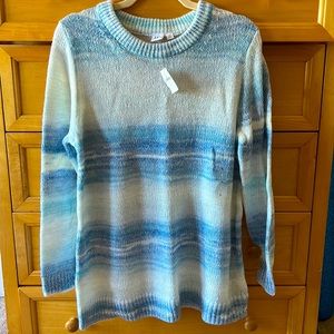 NWT Blue Sweater. Size Large